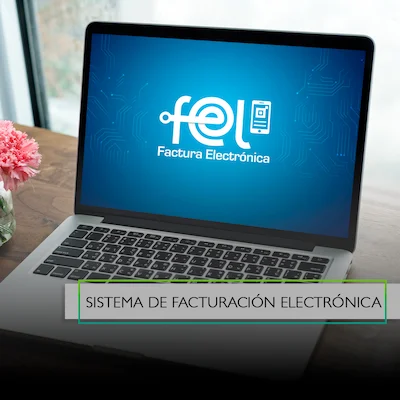 sistema fel